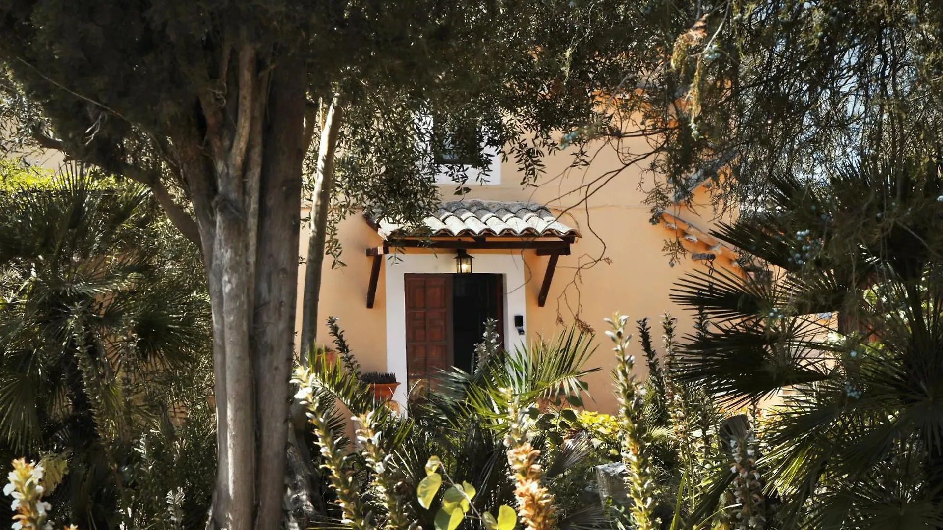 Casa vacanze Sunset private Eco-Villa Can Vey Inca  Spagna